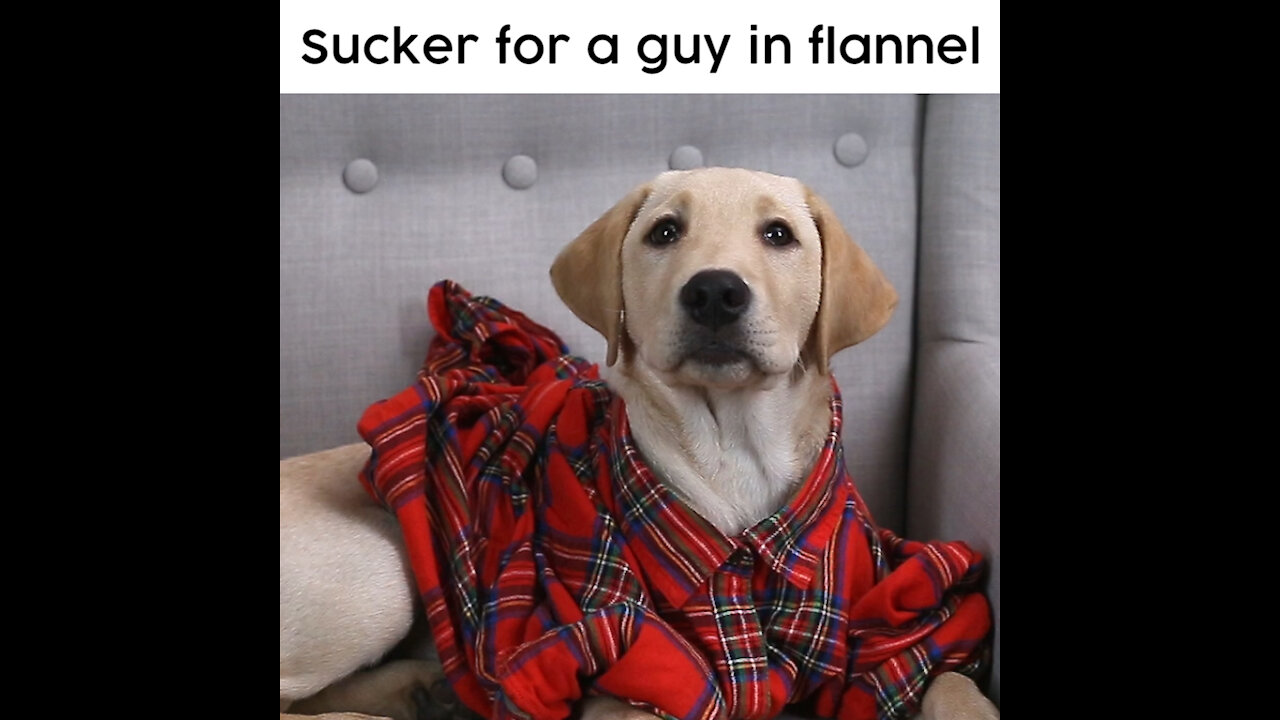 Guy in Flannel [GMG Originals]