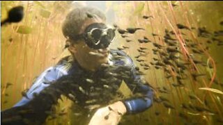 Sub circondato da migliaia di girini