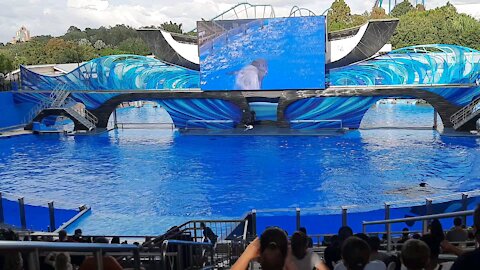 Sea World Orlando Fl.