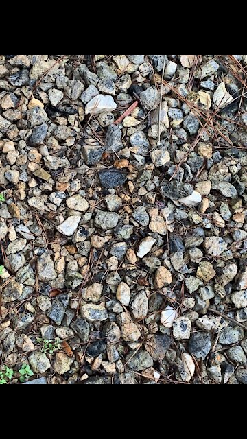 Recording rocks part 4