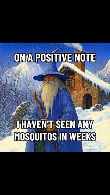 G'night fam it's Cat time! 💥💥💥