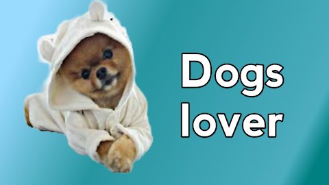 cute dog video for dog lover