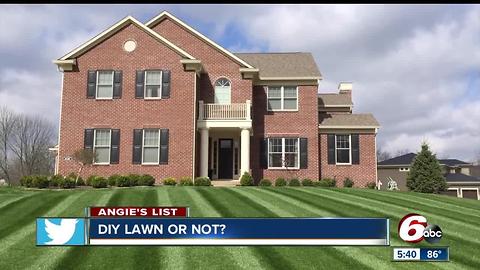 Angie's List: DIY Lawn or Not?