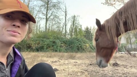 Milo’s first trail ride in YEARS + Mustang Day 8