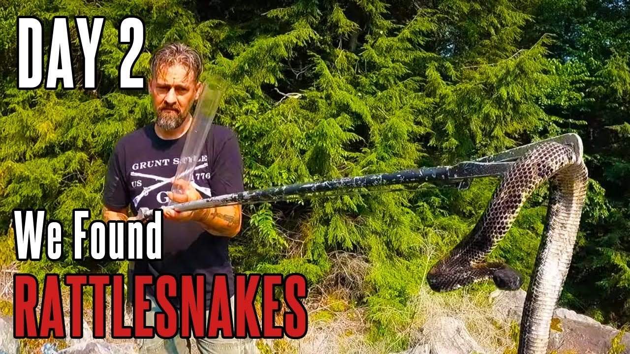 [FOUND] Rattlesnake Hunt: Day 2 | Eastern timber rattler | Venomous Snake | Foraging in Appalachia