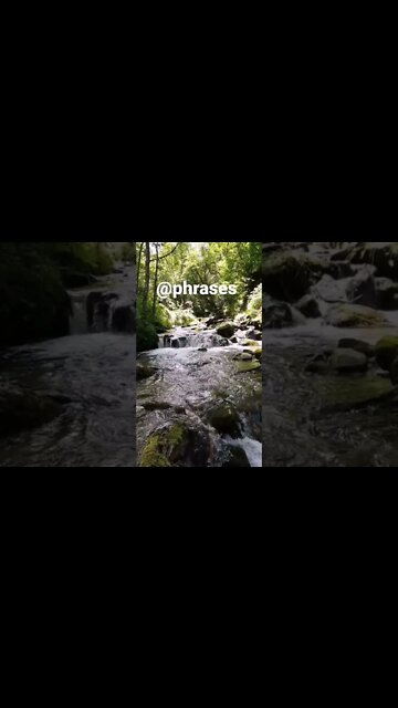 music de relaxation avec vue naturelle