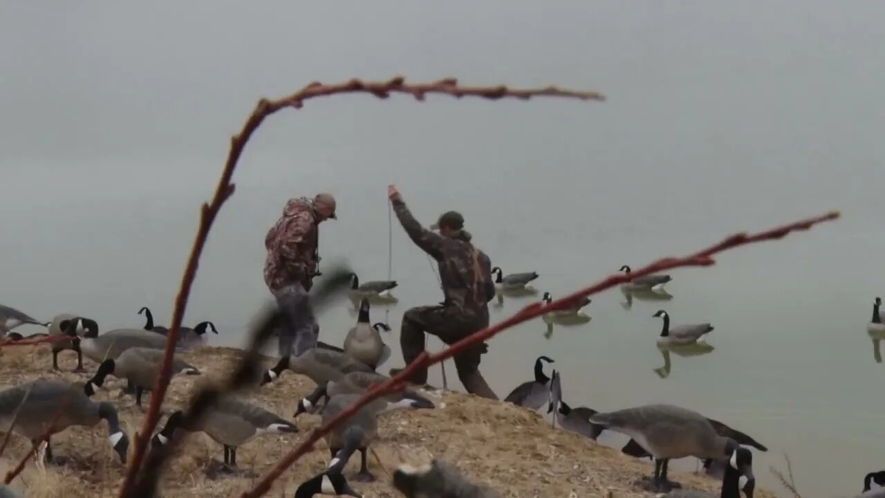 Early season Teal AND Late Season Goose Hunting