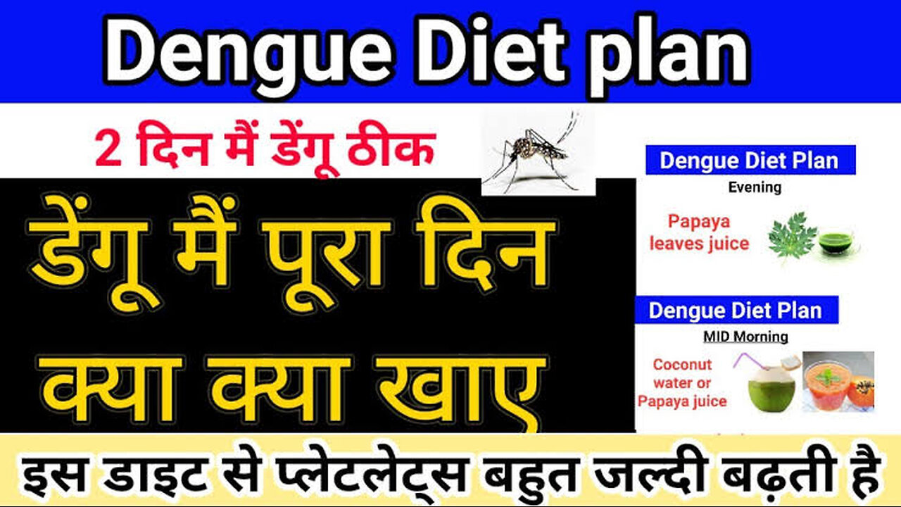 Dengue Diet plan || ड़ेंगू मैं ये डाइट लेने से प्लेटलेट्स बहुत जल्दी बढ़ती है