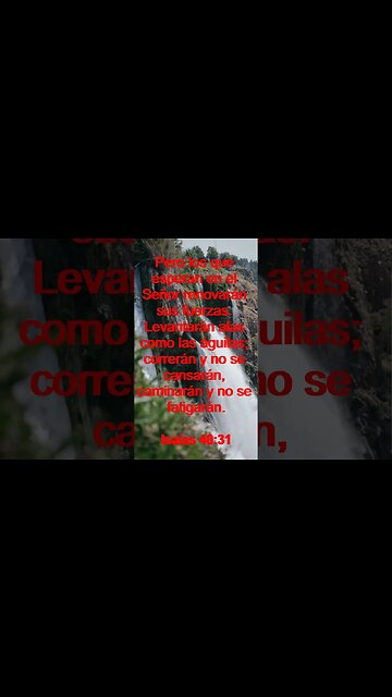 Verso Del Día | Lectura Inspiradora Para Empezar El Día. | 25