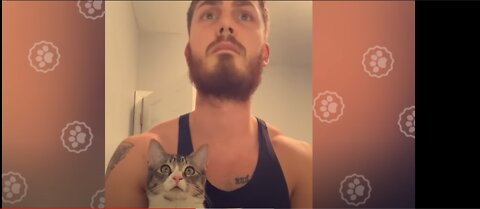 You will adobt a CAT after watching this - Funny and Cute Cat Reaction