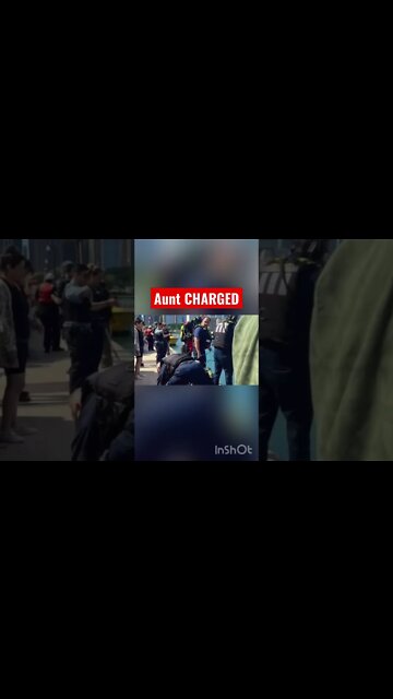 Aunt Charged with Throwing Nephew in Lake Michigan #shorts #chicago #navypier