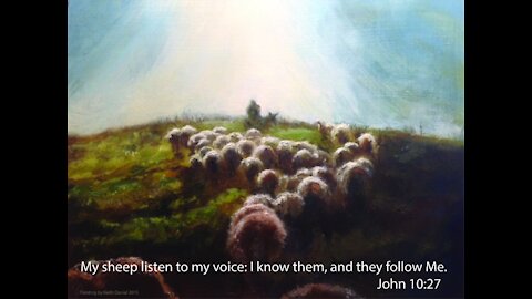 January 23 Devotional - My sheep will not follow another - Tiffany Root & Kirk VandeGuchte