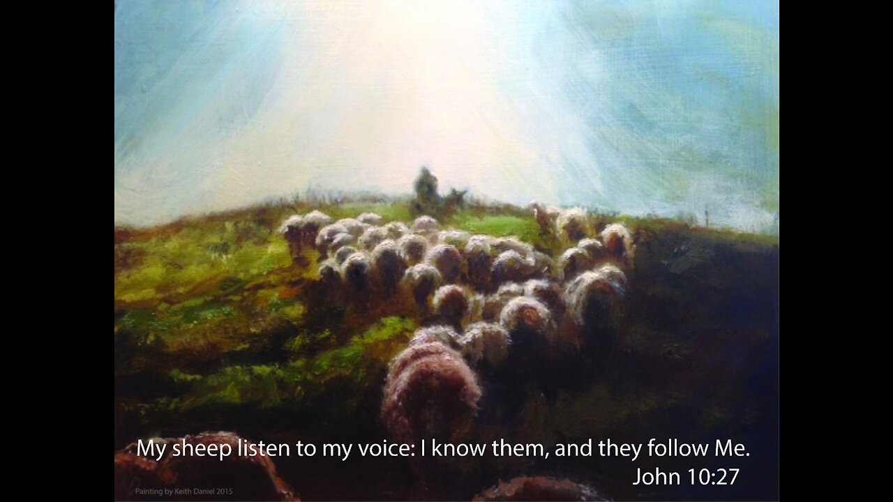 January 23 Devotional - My sheep will not follow another - Tiffany Root & Kirk VandeGuchte