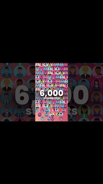 Top 3 Wine Creators 🍷😌