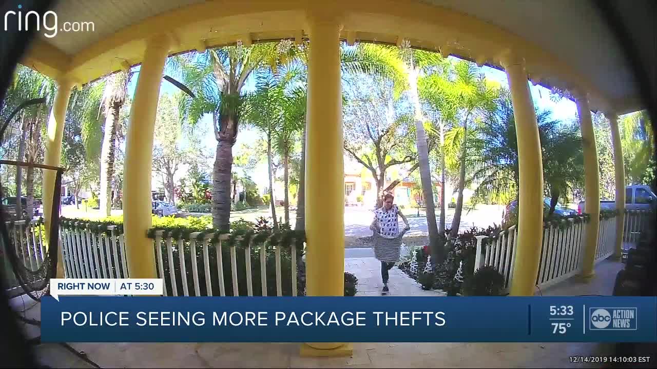 Holiday package thefts on the rise this year, Tampa Police Department says