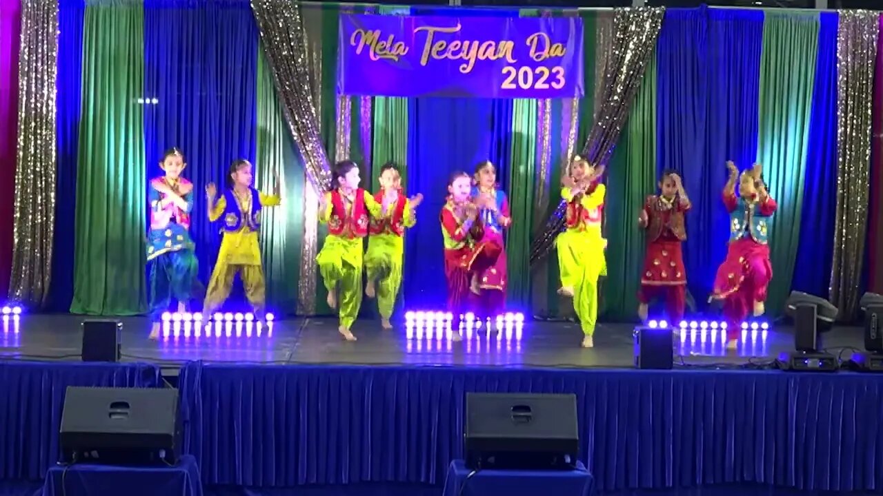 Bhangra panthers