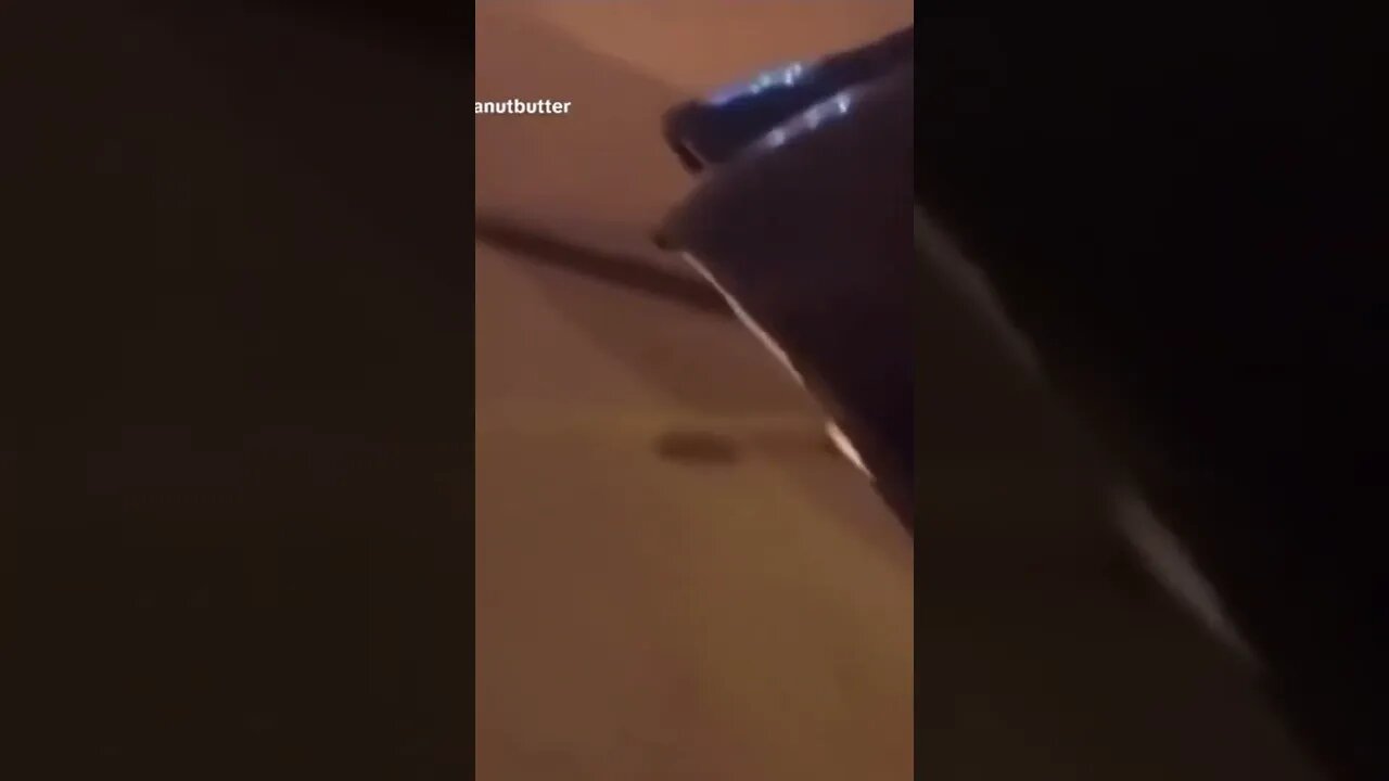 😂😂😂