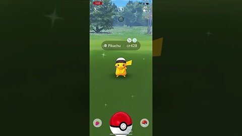 Shiny Compilation