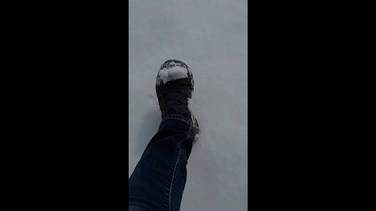 A walk in the snow