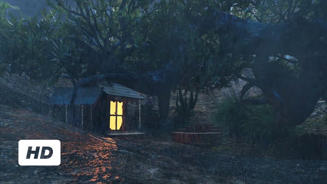 Soothing Rain in the Night Forest | Relaxing Nature HD Video