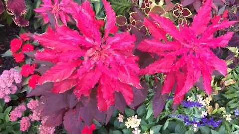 Changing Seasons