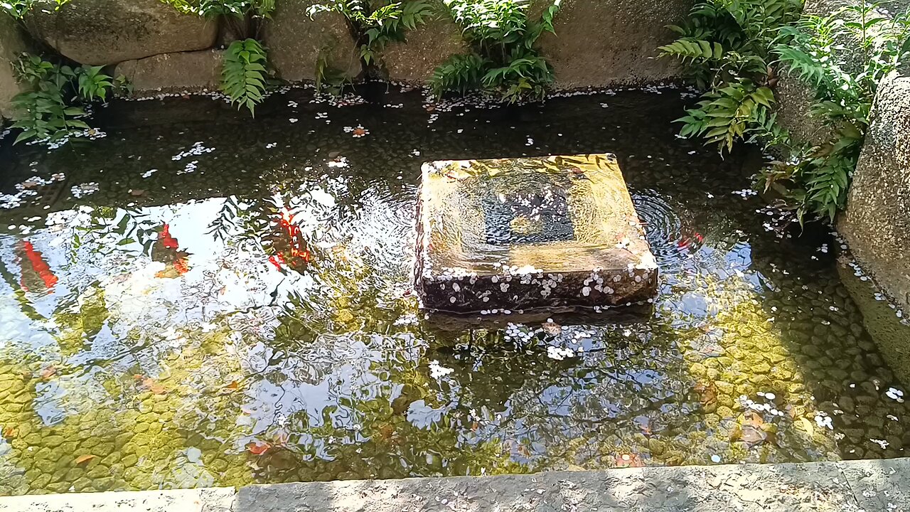 Well/waterfall in Ueno Park Part 1