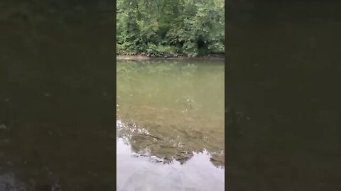 tranquility peaceful river