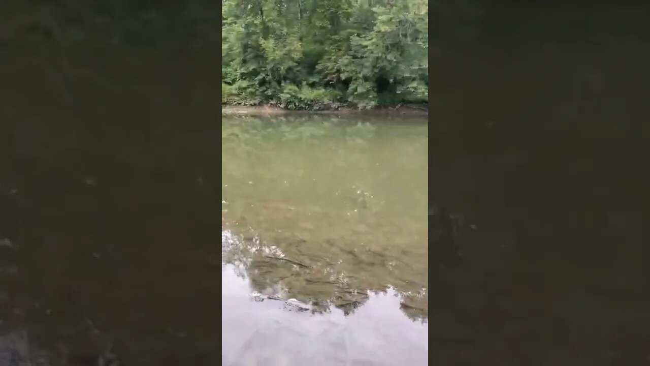 tranquility peaceful river