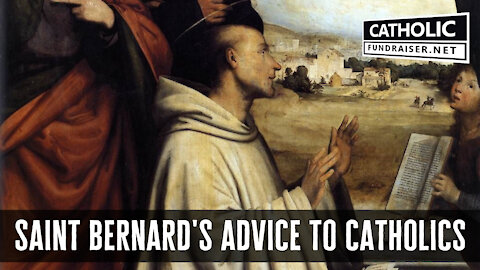 St Bernard's Advice - How to Run a Catholic Apostolate