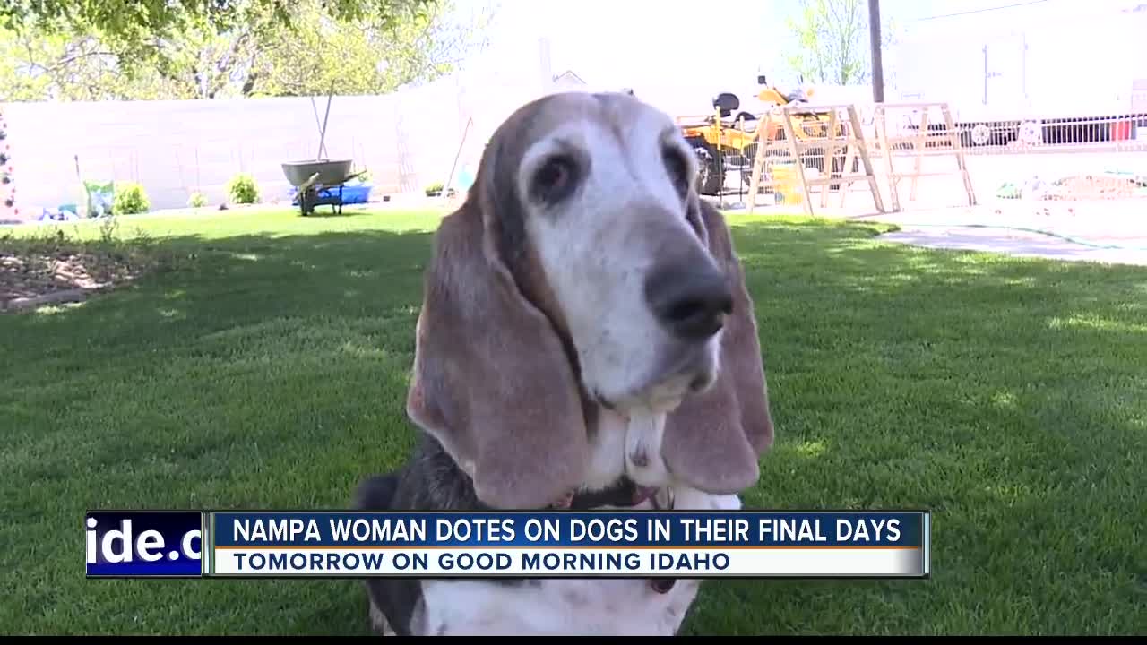 Nampa woman dotes on dogs in their final days