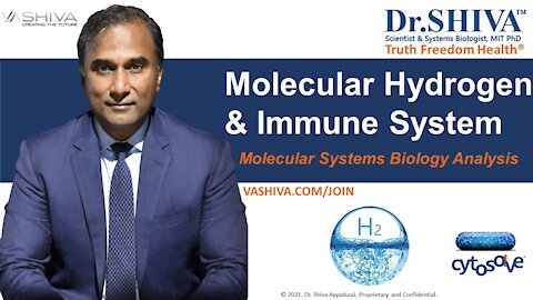 4 Ways How Molecular Hydrogen Affects the Immune System.