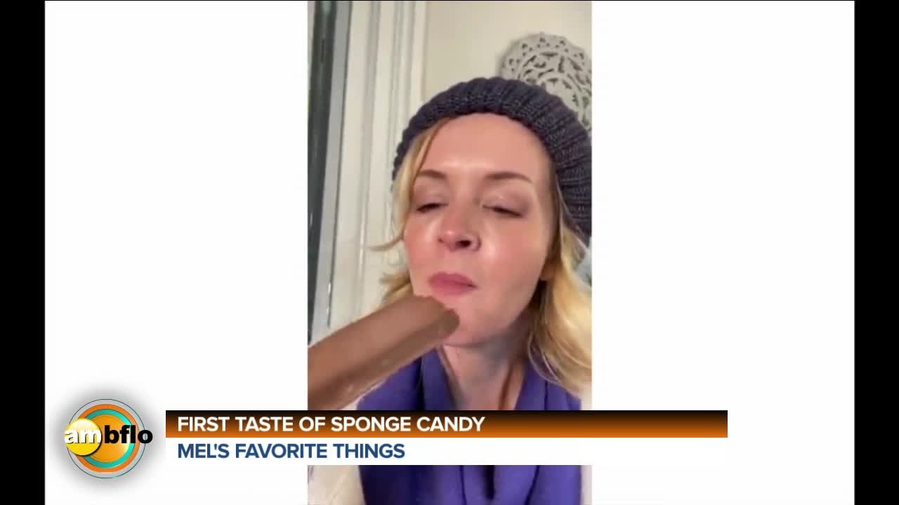 ONE OF MEL'S FAVORITE THINGS - SPONGE CANDY