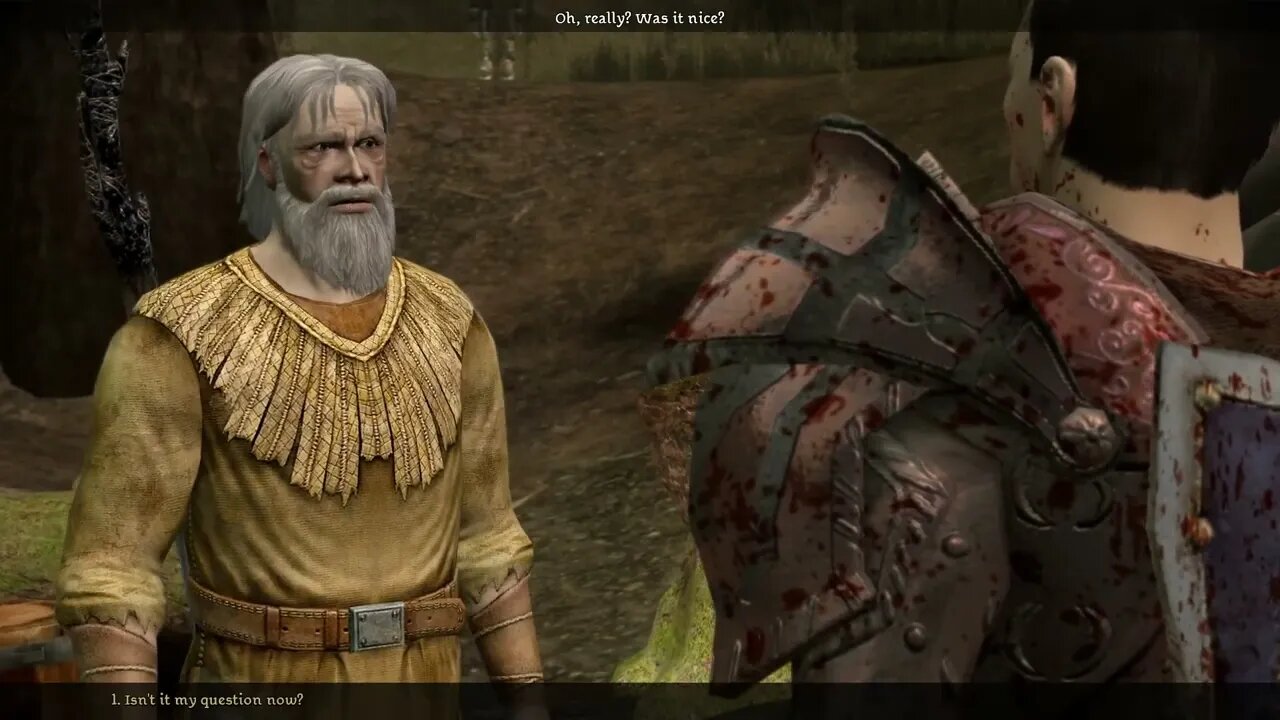 Dragon Age Origins - Aneirin and the hermit