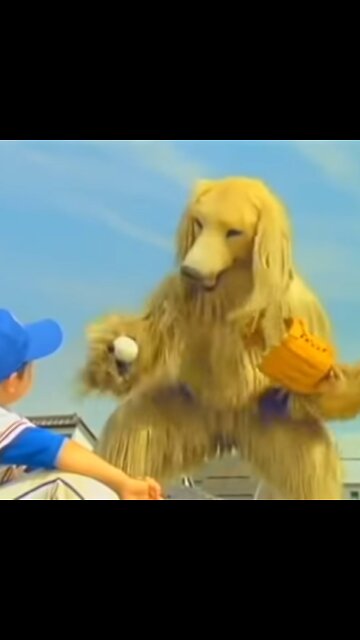 CONSOME PONCHI Dog commercial Edit