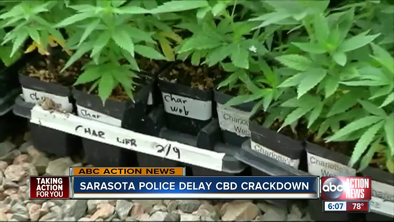 Sarasota Police delay plan to crackdown on CBD