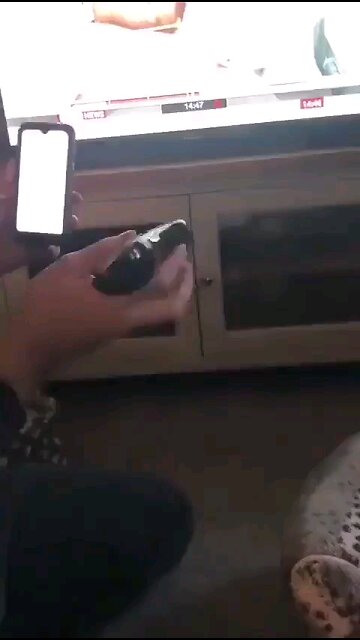 Covidian Crisis Actors