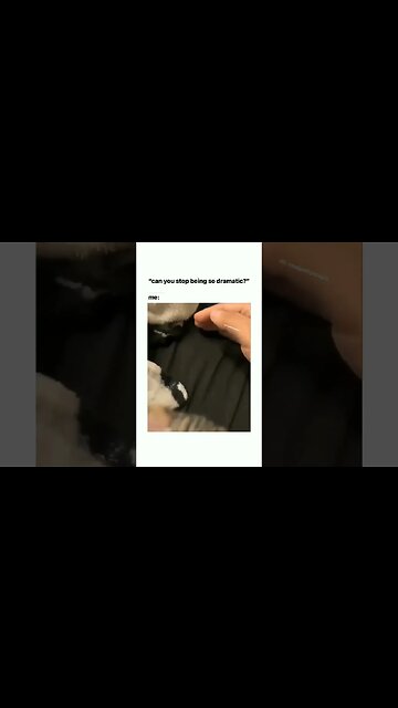 Memes that started global warming