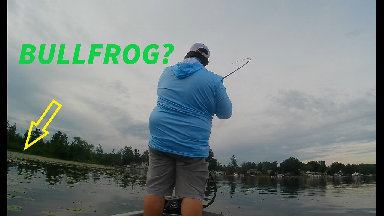 We caught a Frog! (Shots Fired!!!)