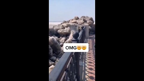 Planet Earth.#ViralVideo #ViralVideoInSocialMedia #Shorts