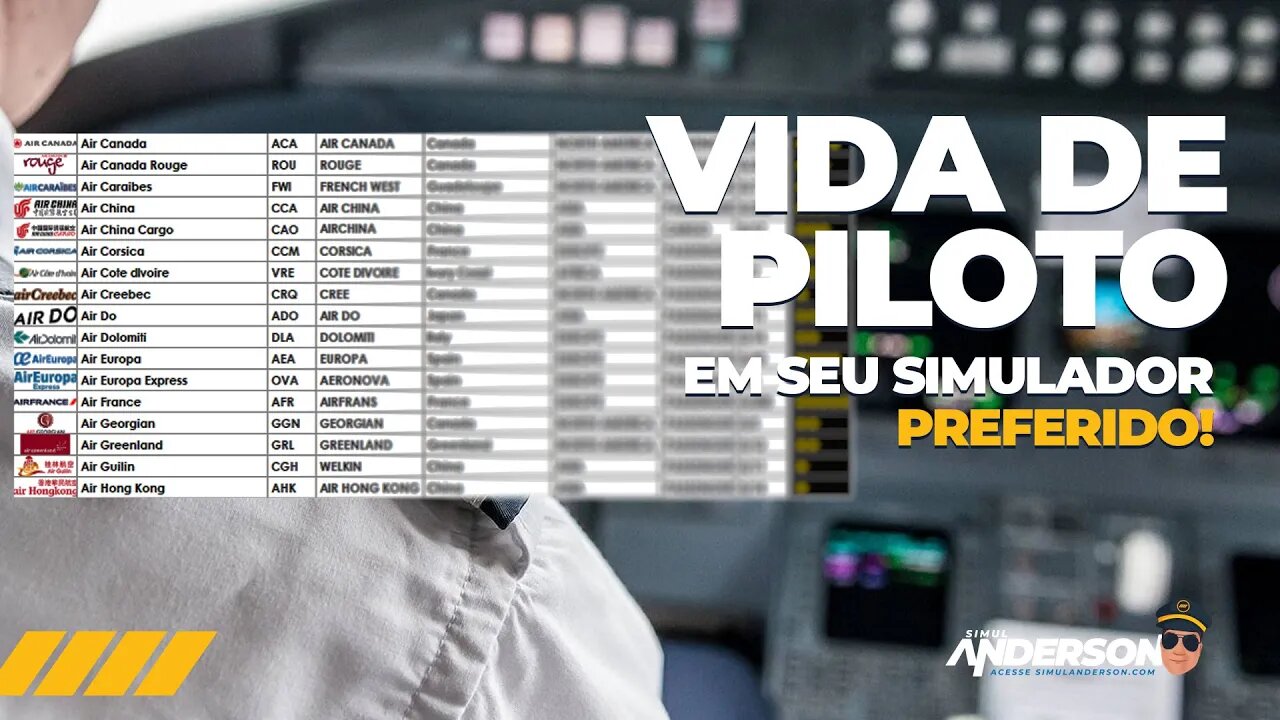 Iniciando a Carreira de Piloto de Linha Aérea - A Pilot's Life Chapter 2