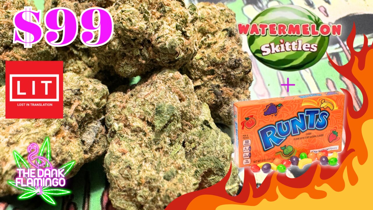 Trying Melon Runtz THCa from Lit Farms! The Dank Flamingo Cannabis Review!