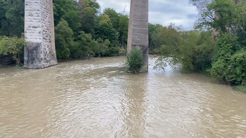 Humber River Toronto flow Dundas bridge