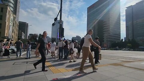 #CBDC 디지털 화폐 반대 광화문 1인시위/One-person protest against digital currency