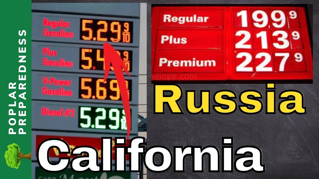 Are The SANCTIONS Working?!? (& Who Are They Hurting More?)