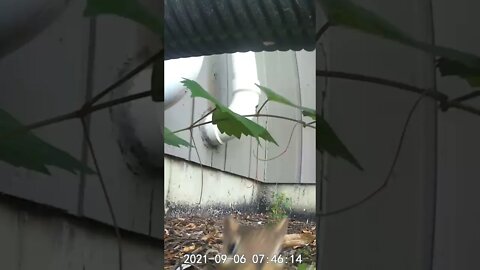 Can you check the camera?