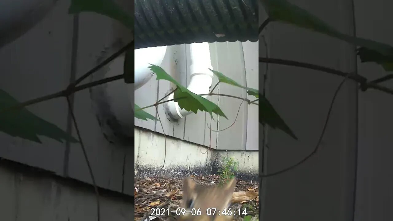 Can you check the camera?