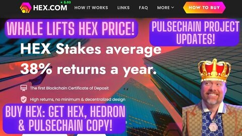 Whale Lifts Hex Price! Buy Hex: Get Hex, Hedron & Pulsechain Copy! Pulsechain Project Updates!