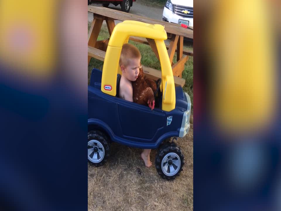 This Boy and his Pet Chicken are Simply Precious