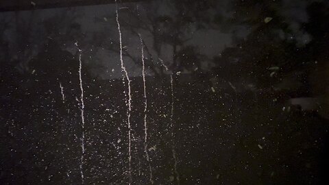 Hurricane Milton Local Report #4