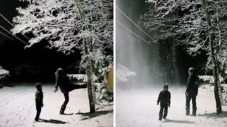 Dad makes mesmerizing snowfall by hitting tree full of snow